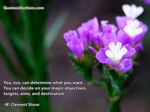 w_clement_stone_quotes Quotes 1